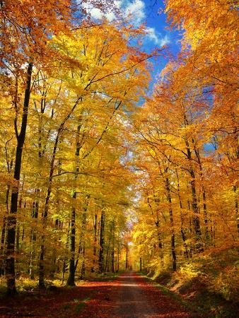 GenuineLexLuger's tweet photo. Another day. Thank you Lord!!!
Psalm 118:24 https://t.co/OJiARupqOx