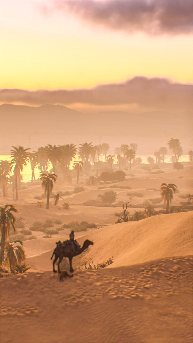 Tigris🔹 
#AssassinsCreedMirage              

#ACPhotoMode #VirtualPhotography #GamerGram #VGPUnite #ArtisticofSociety #VPgamers #VPEclipse #ACMirage #AssassinsCreed              #PhotoMode #WorldofVP #Ubisoft #ACVP
#TOWCBWeeklyCapture
#ACMirageVP