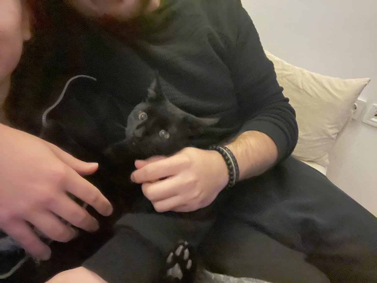 Kedylerinizi atım lütfem pazarımıs şenlensin