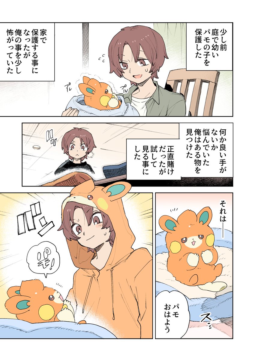 赤ちゃんパモさんの話