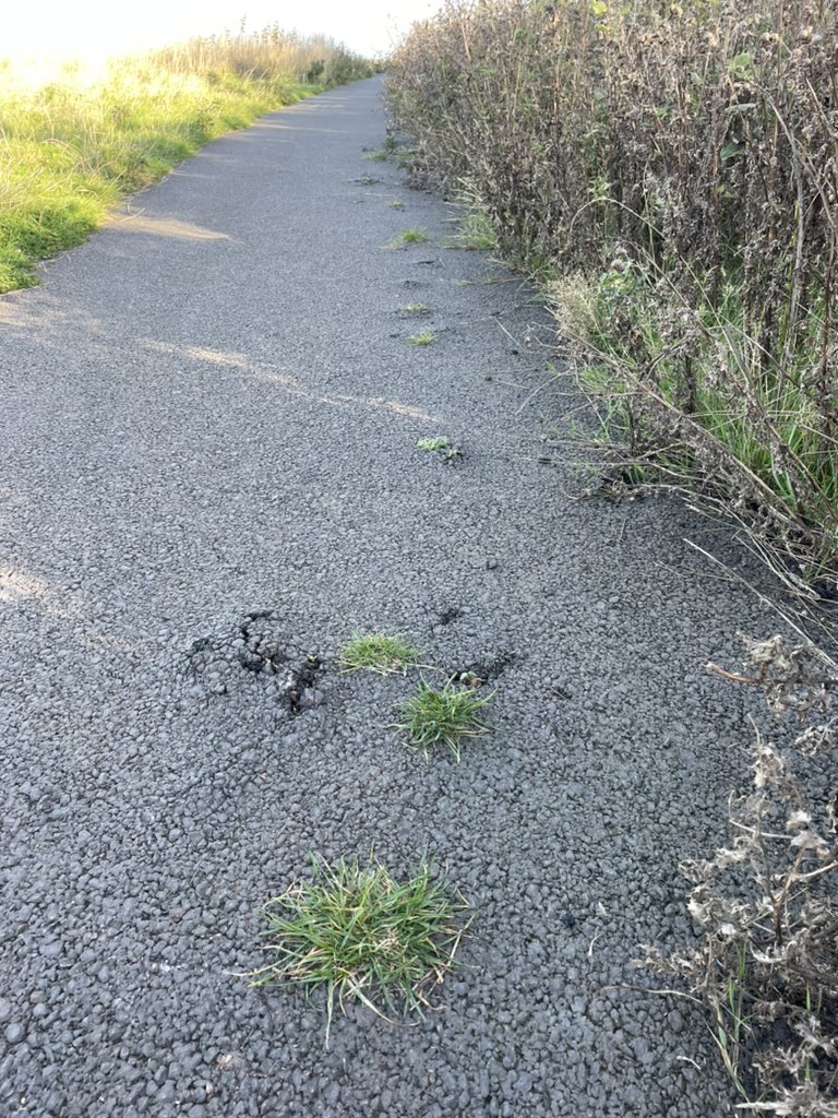 Brian_Monks's tweet photo. I see nothing was done about the terrible quality tarmac at Levenhall Links. https://t.co/hs1YX2oUF0