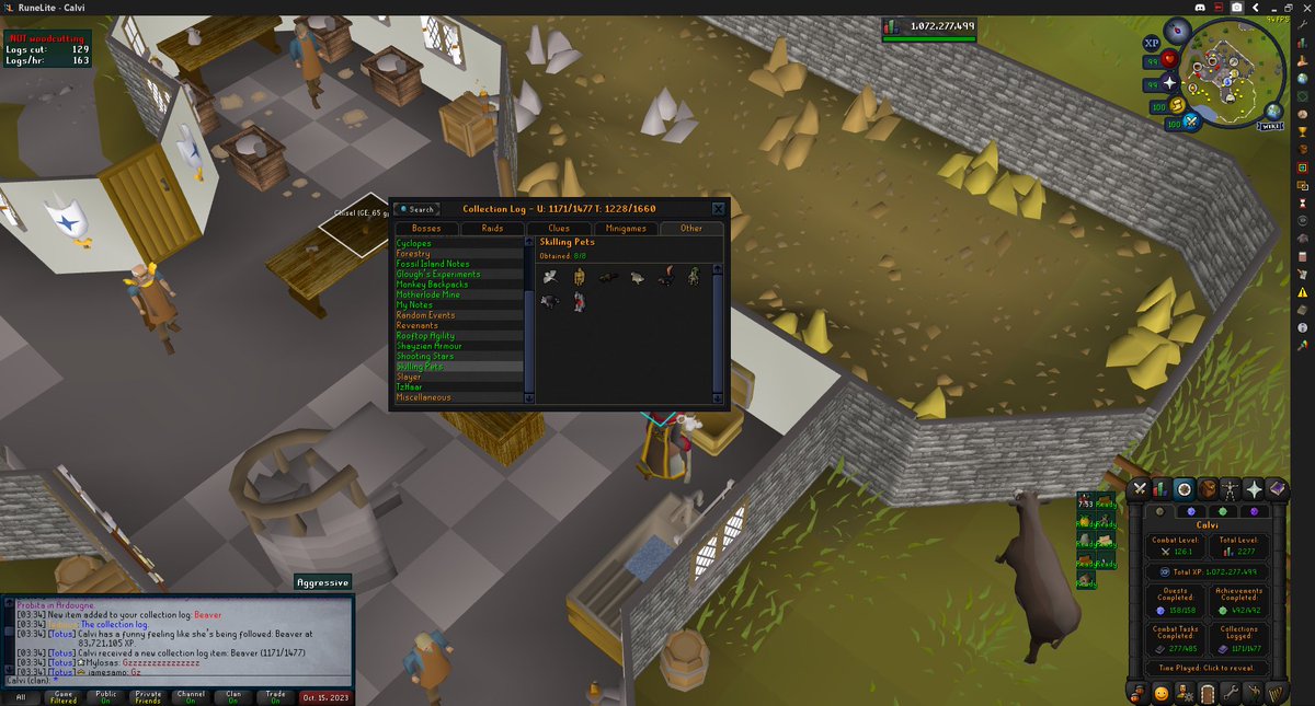 calvi_jr's tweet photo. finally! all skilling pets achieved. Beaver at 83.7m xp <3 #totus #sksc #loghunters https://t.co/06WTUtcoWF