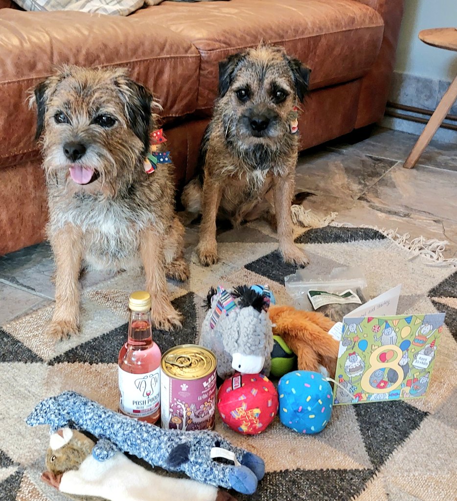 Yaaay it's our Birthday today pals and we are eight🎁🎈had scrambly egg for brekkie😋 off for some beach time now and rumours of liver cake later 🌊🎂 #BTPosse