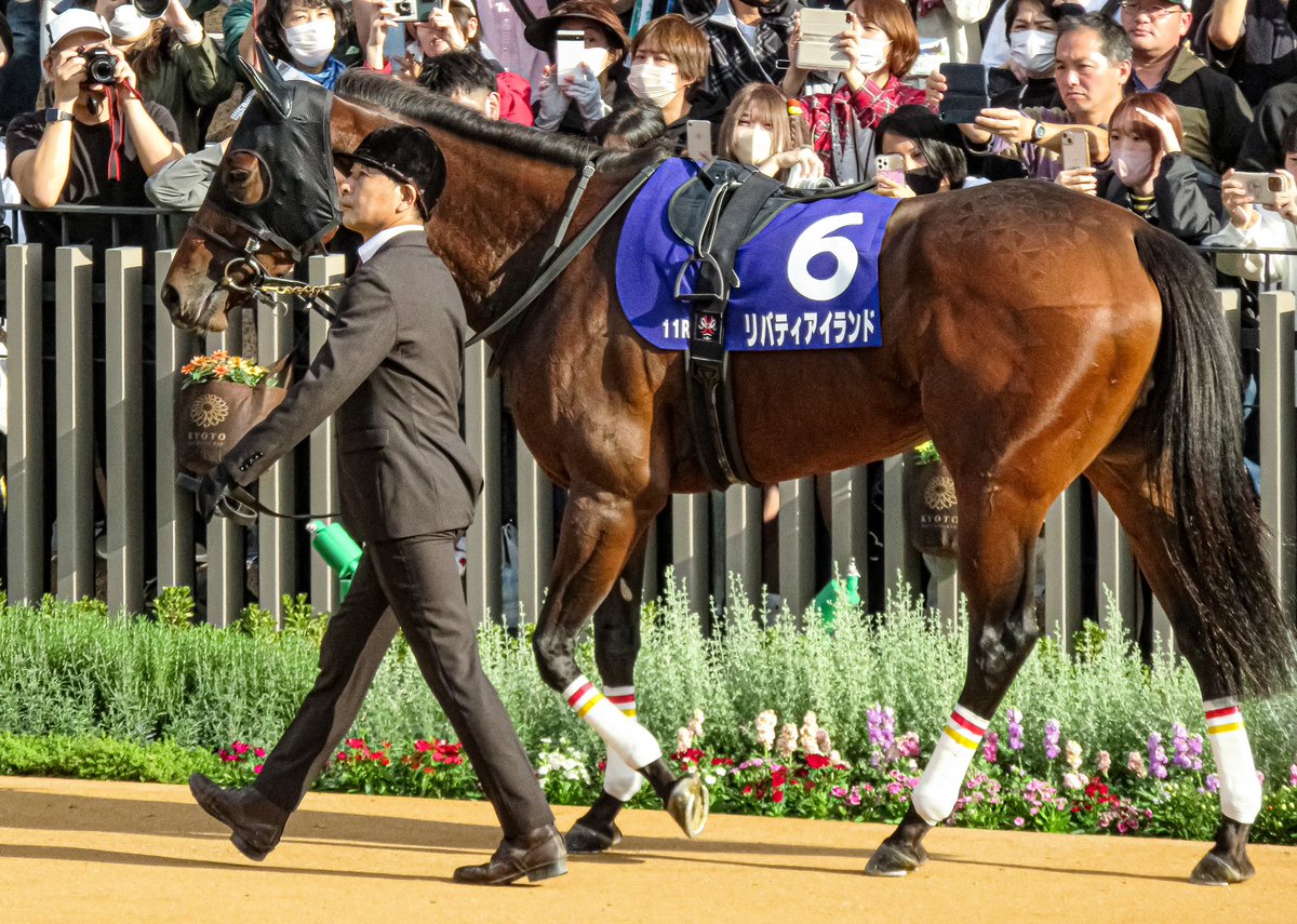MoToM039's tweet photo. 今日は完璧で究極のお嬢さんを撮りに京都競馬場に行ってました
"三冠牝馬"おめでとう！ https://t.co/Kjsg9iuo1D