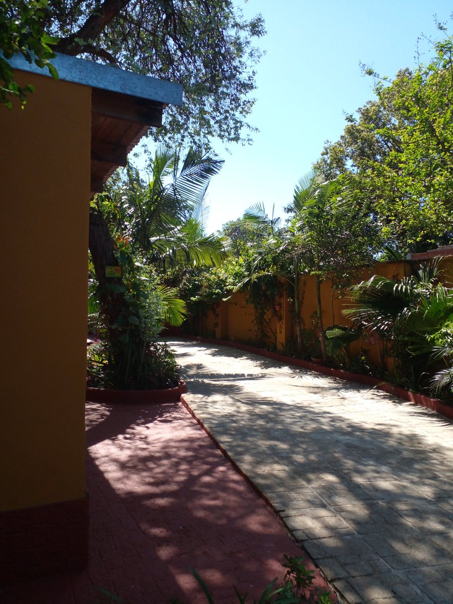 BUEN DÍA. TENEMOS EN ALQUILER QUINCHO Y PILETA UBICADO EN POSADAS. ZONA AEROPUERTO.  CUMPLEAÑOS PARA NIÑOS Y ADULTOS. REUNIONES SOCIALES. DESPEDIDAS DE AÑO. PILETA DE 9 METROS POR 3 DE ANCHO POR 1 DE PROFUNDIDAD. CONSULTE DIAS Y HORARIOS DISPONIBLES. TRATAR: WHATSAPP: 3764675727.