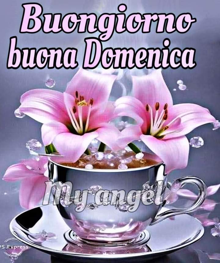 PieraToninelli's tweet photo. @mariagraziatur2 https://t.co/yTKdOSbloJ