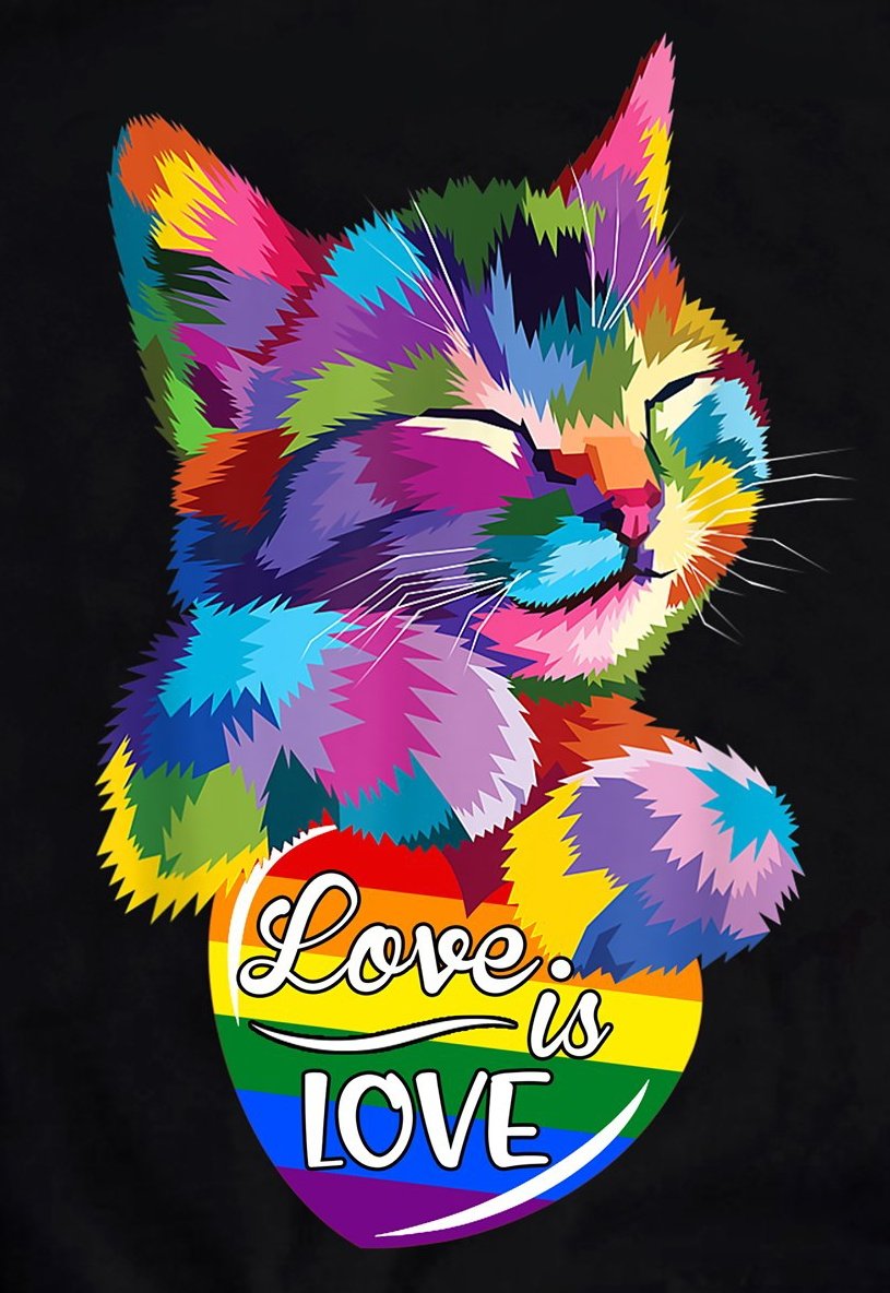 CorellaTej7982's tweet photo. #loveislove #loveforall #catlover #amoresamor #loversmood #moody #cats #kitten #lovingtime #amorloco #amour #amore #cuori #colors #colores 🌈😻😸 https://t.co/TCe2JiJO4X