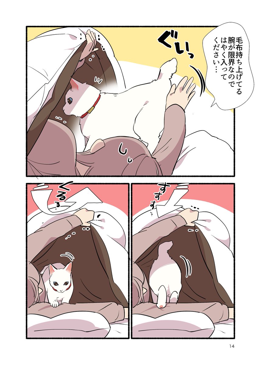 甘えんぼ猫が朝からフルスロットルな話(1/2) #漫画が読めるハッシュタグ