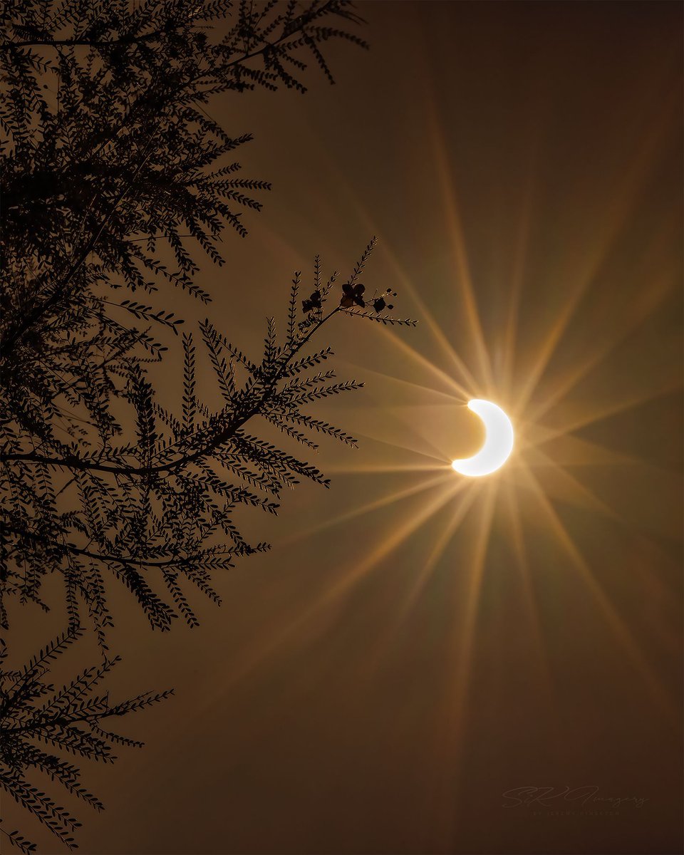 Hey friends! I miss you all! It’s been a SUPER busy time lately. Good news is I’ve shot a WHOLE lot! Now…to find time to edit. 🫠 Luckily I snagged this shot of the #solareclipse in Phoenix JUST before my flight back to Vegas for another gig. 😵‍💫 Anyone get a chance to see it?