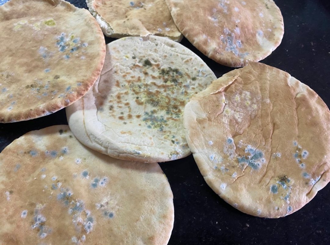 استمرار الحرب وانقطاع تيارات الكهرباء لايام وتجويع قطاع غزة هذا ما يخلفه فساد الاطعمة والخبز بحالته السيئة ، يعني حتى الذى أمن نفسه بالغذاء، طعامه يفسد
