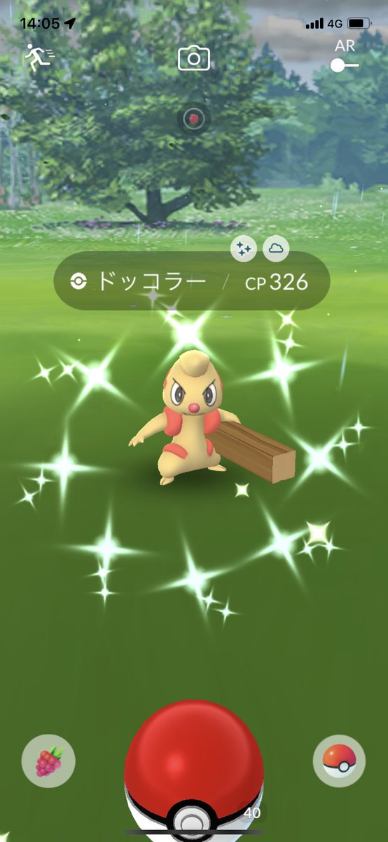 bratty0514's tweet photo. ドッコラーコミニティデイお疲れ様でした〜💪
色違いは持ってなかったので満足です❗️
#ポケモンGO #ドッコラー #色違い https://t.co/RvH5CacaGE