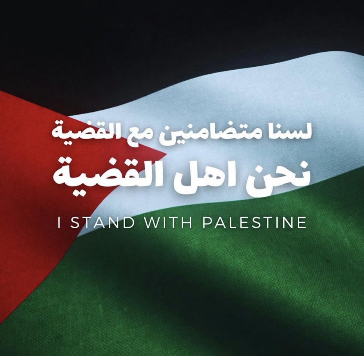 True Memes (@truememes_) on Twitter photo 