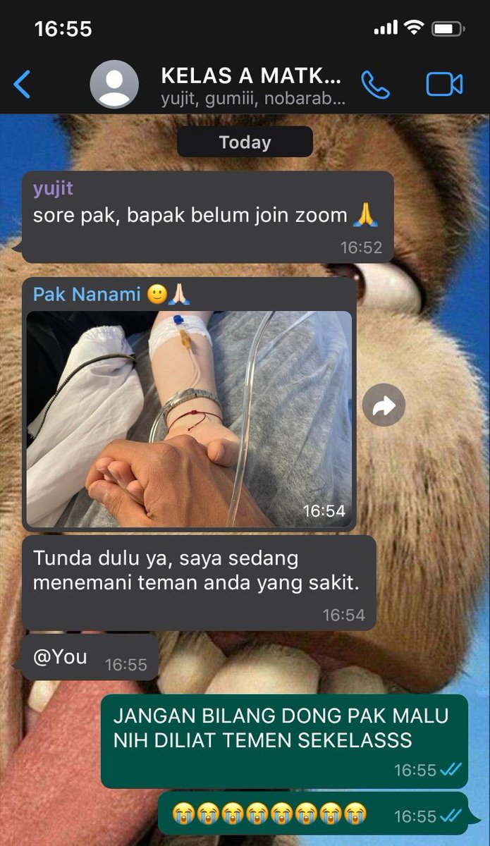 OPEN DM | JUJUTSUDILFAREA tweet media