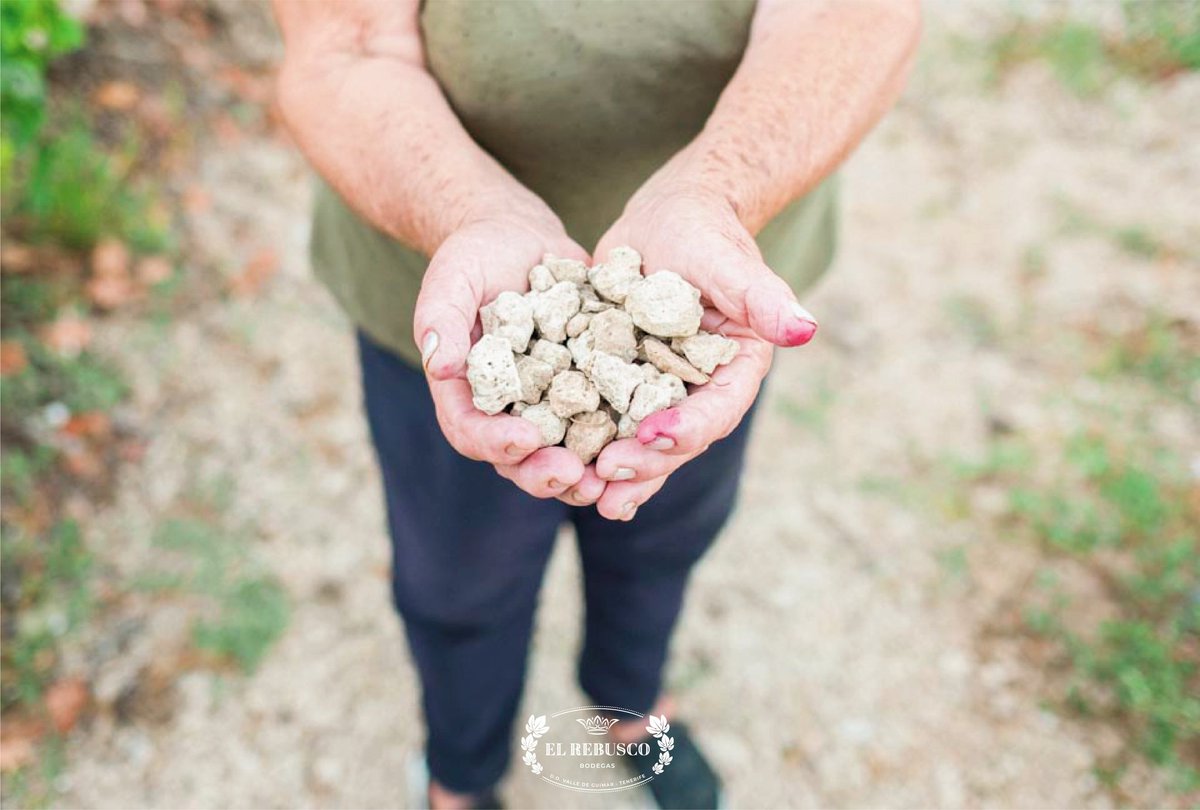 〰️ La #mujerrural, 1/4 parte de la población mundial, trabaja como #agricultora, puede ser asalariada, empresaria o ama de casa. Labra la tierra y planta las semillas que alimentan naciones enteras. ¡Feliz día a todas! 

#ElRebusco #Tenerife #vinosdeTenerife #isladevinos