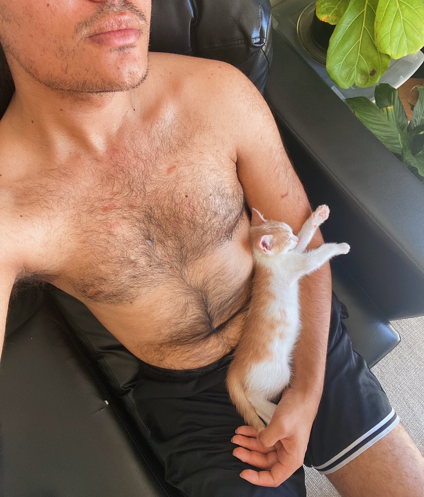 jolangtry's tweet photo. Welcome home Oats, 🤍.

Also thank you @Bradlee_Harris &amp; @unskinnycherry I love him. https://t.co/7FRDb32rfP