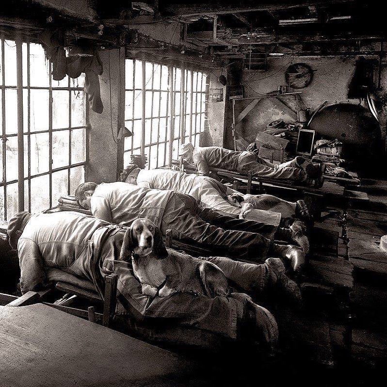 weltgeschichten's tweet photo. Das historische Foto aus dem Jahr 1902, das französische Messerschleifer zeigt, gibt einen Einblick in die Arbeitspraktiken und -bedingungen des frühen 20. Jahrhunderts in Frankreich. 

Die Messerschleifer führten ihre Arbeit in einer ungewöhnlichen Haltung aus: Sie lagen auf dem Bauch. Diese Arbeitsweise wurde gewählt, um Rückenprobleme zu vermeiden, die durch das ständige Beugen und Hocken während des Schleifens verursacht werden könnten. Die Arbeit in dieser Position war zwar sicherlich nicht ideal, aber sie wurde als bessere Alternative zum ständigen Hocken gesehen.

Ein weiteres bemerkenswertes Detail ist, dass den Arbeitern erlaubt wurde, ihre Hunde zur Arbeit mitzubringen. Die Hunde boten nicht nur Gesellschaft, sondern hatten auch einen praktischen Nutzen. In der kühlen Umgebung dienten die Hunde als "Minibeheizung", indem sie sich auf den Beinen ihrer Besitzer ausruhten und so Wärme spendeten.

Ein weiteres charakteristisches Merkmal der Messerschleifer war die gelbe Färbung, die sie erhielten, während sie arbeiteten. Die Bezeichnung "ventres jaunes", die wörtlich übersetzt "gelbe Bäuche" bedeutet, bezog sich auf den gelben Staub, der vom Schleifrad freigesetzt wurde und sich auf ihrer Kleidung und Haut absetzte.

Diese Details bieten einen lebhaften Einblick in das Arbeitsleben der handwerklichen Berufe in der frühen Moderne. Es zeigt, wie Arbeiter ihre Arbeitspraktiken und -umgebungen an die körperlichen Anforderungen ihrer Tätigkeiten und an die verfügbaren Ressourcen anpassten.