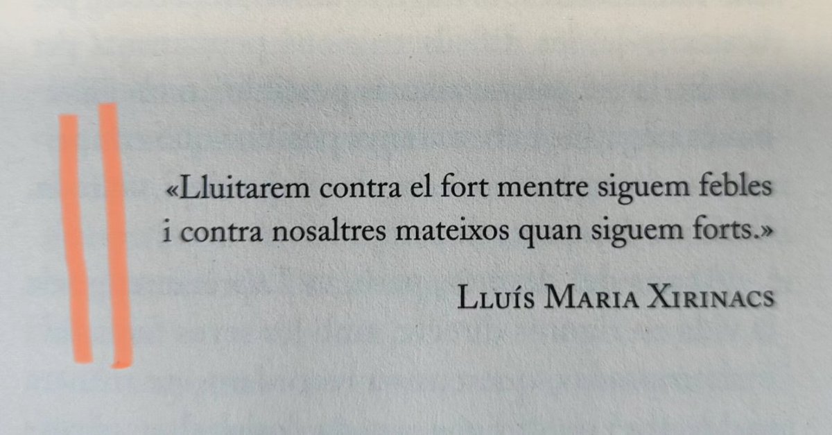 Beatriz Dourado tweet media