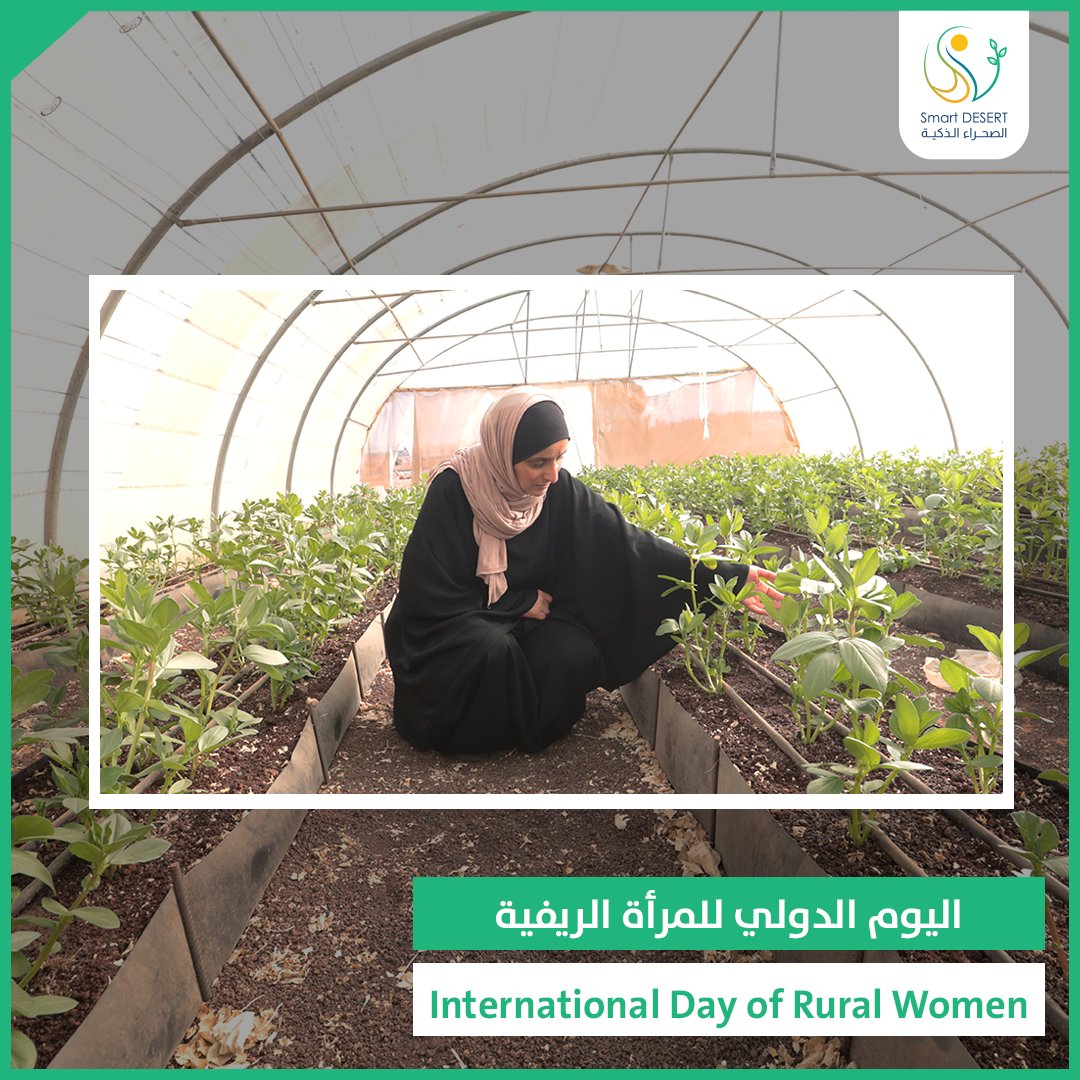 Smart DESERT tweet media