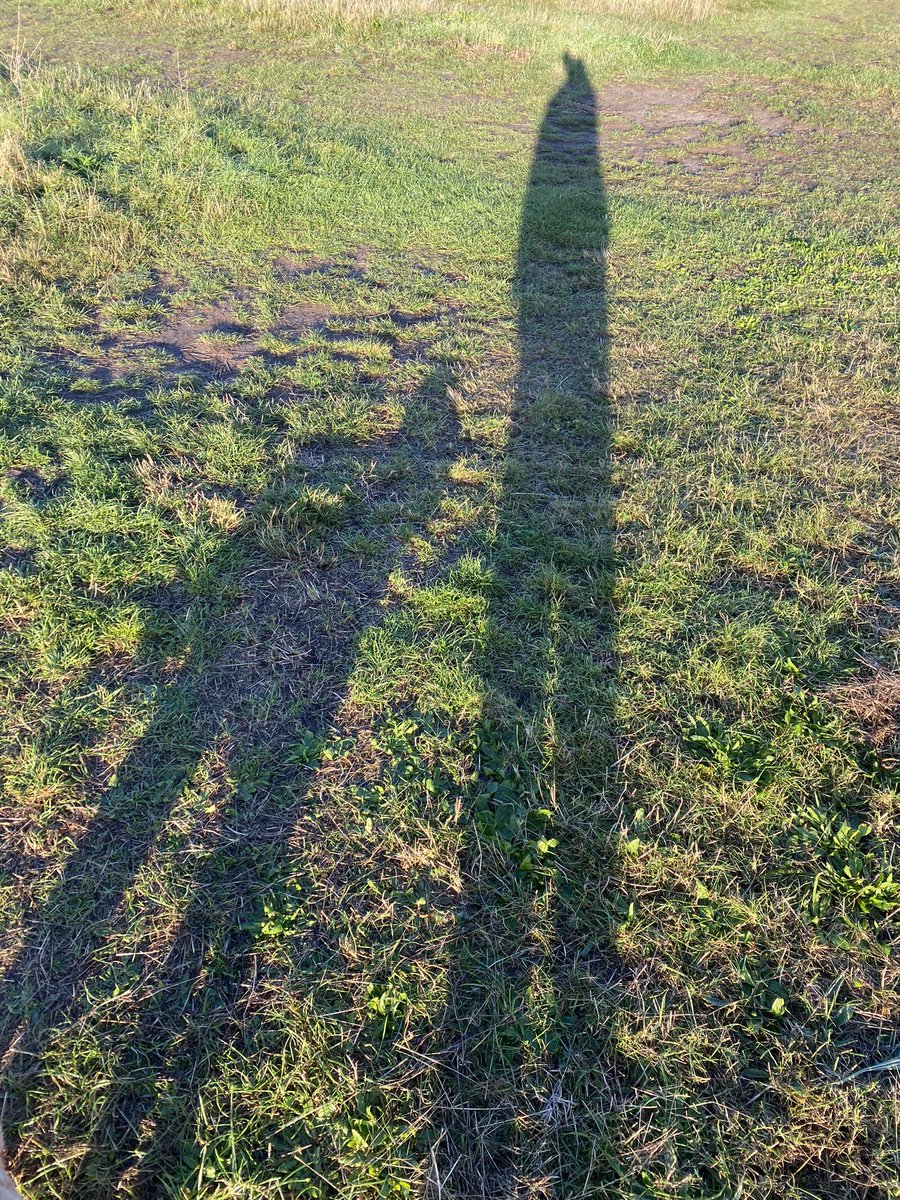 Finally managed some #stiltwalking! <a href="/greenroofsuk/">dusty gedge</a> <a href="/BELLEGREENWICH/">Karin Tearle</a> <a href="/FIMAC10/">FiMacHarry</a> <a href="/KateM45/">Kate Middleton</a> #blackheath