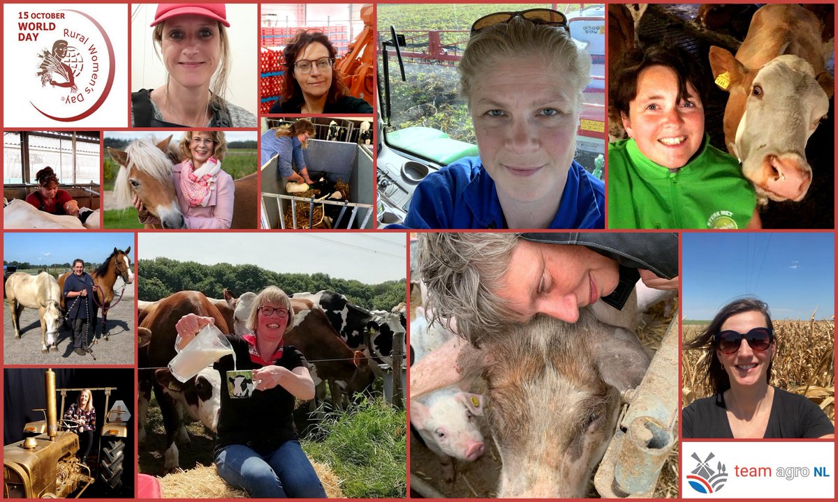 @TeamAgroNL tweet media