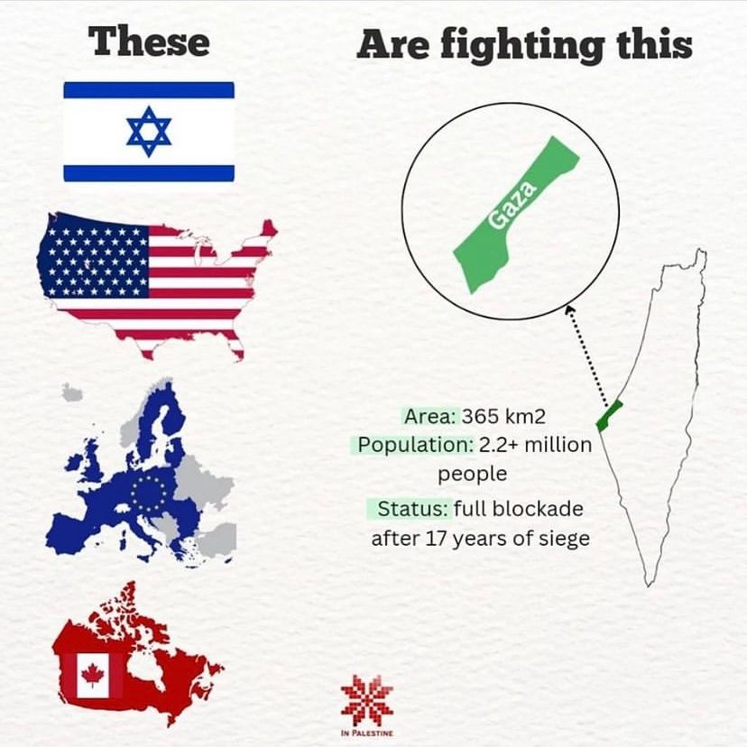 Mangaka_Sam's tweet photo. The truth the civilized world "as they call themselves 😏" wants to deny
Unfortunately this is not #ukraine 🤫
#غزة_تحت_القصف 
#غزة
#gaza 
#gazaunderattack 
#israelisnotacountry 
#israeltrrorist
#usa #europe https://t.co/aBFvKmYUaV