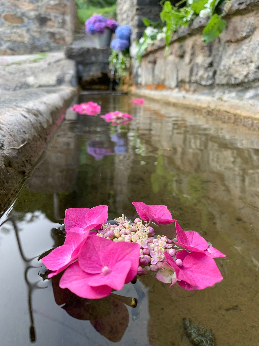 Fundacioncardin's tweet image. Hoy #DíaInternacionalDeLaMujerRural queremos agradecer y recordar a todas nuestras informantes de #Villaviciosa 🍎, que nos dieron y dan sus recuerdos y saberes para atesorarlos en el #AHOV y que no se pierdan ¡gracias a todas! @GrupoElGaitero @GobAsturias @MuseuPuebluAst