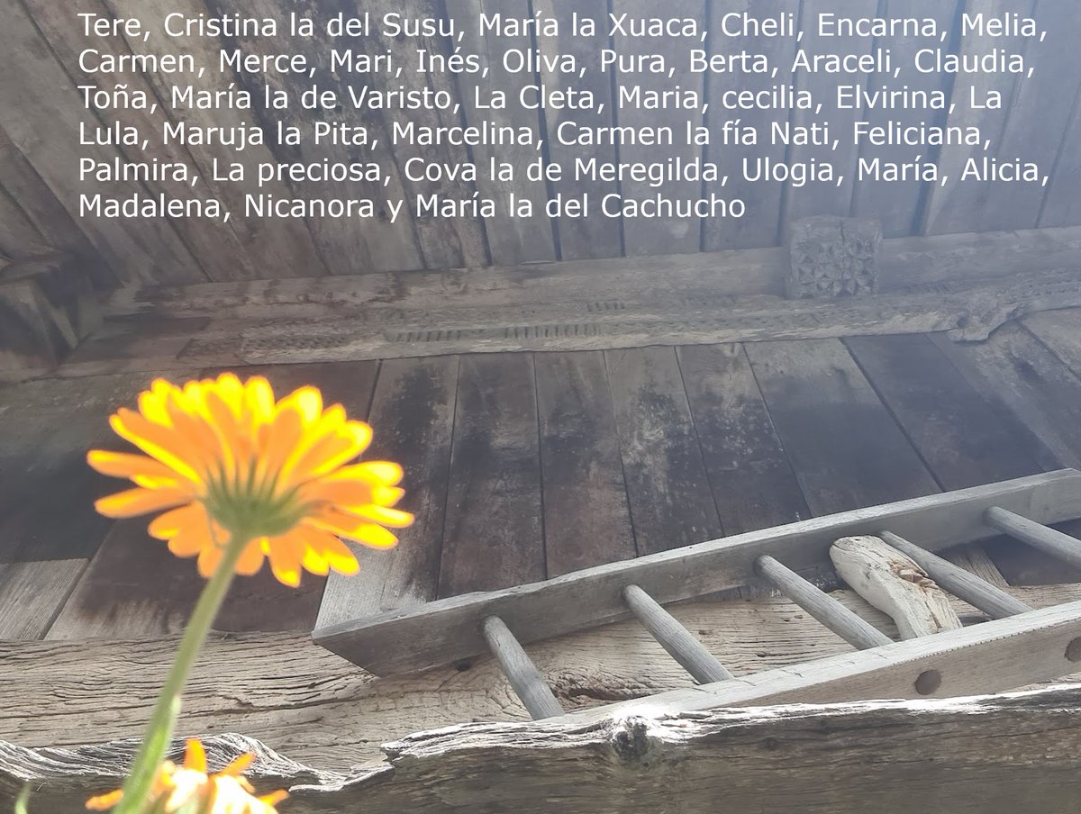 Fundacioncardin's tweet image. Hoy #DíaInternacionalDeLaMujerRural queremos agradecer y recordar a todas nuestras informantes de #Villaviciosa 🍎, que nos dieron y dan sus recuerdos y saberes para atesorarlos en el #AHOV y que no se pierdan ¡gracias a todas! @GrupoElGaitero @GobAsturias @MuseuPuebluAst