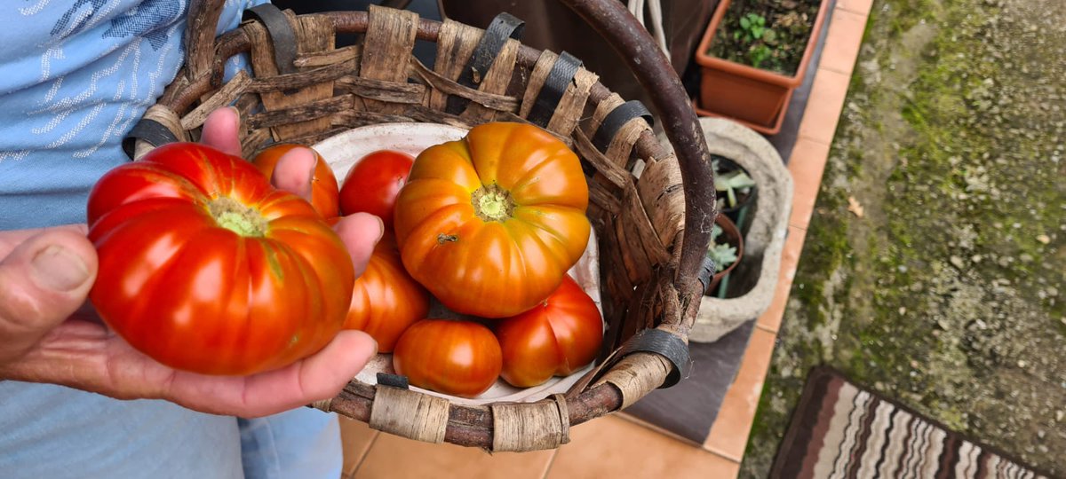 Fundacioncardin's tweet image. Hoy #DíaInternacionalDeLaMujerRural queremos agradecer y recordar a todas nuestras informantes de #Villaviciosa 🍎, que nos dieron y dan sus recuerdos y saberes para atesorarlos en el #AHOV y que no se pierdan ¡gracias a todas! @GrupoElGaitero @GobAsturias @MuseuPuebluAst
