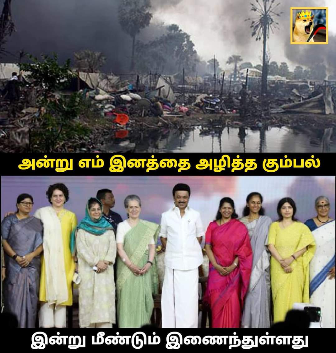 pattinatthar7's tweet photo. நம்ம இனத்தையே அழிச்சி ஒழிச்சிட்டு... நம்ம முன்னாடியே வந்து எப்படி நிக்குறான் பாத்தியா ...😊
எவ்ளோ மானங்கெட்டு பிறவில நம்ம🚶 https://t.co/3MNJC8Jf3A