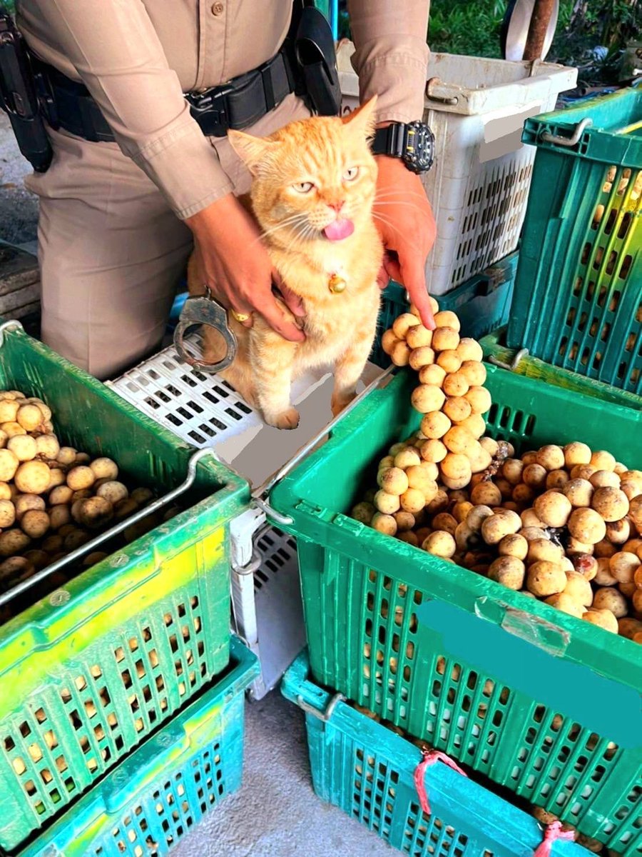 Arrested for selling 15 tons of stolen fruit.