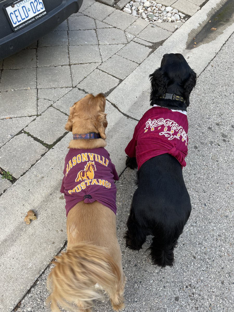 It’s x-country walk-through today for Valley Finals…and <a href="/masonville_ps/">Masonville PS</a> mascots are ready to help the mustangs find their way <a href="/TVDSBsports/">Elementary Athletics</a>