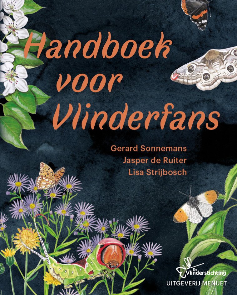 Met trots kan ik je de cover laten zien van mijn nieuwe boek 'Handboek voor Vlinderfans'. Het boek ligt inmiddels bij de drukker en zal half november verkrijgbaar zijn.
Het boek neemt je mee in de wondere wereld van de vlinders.
