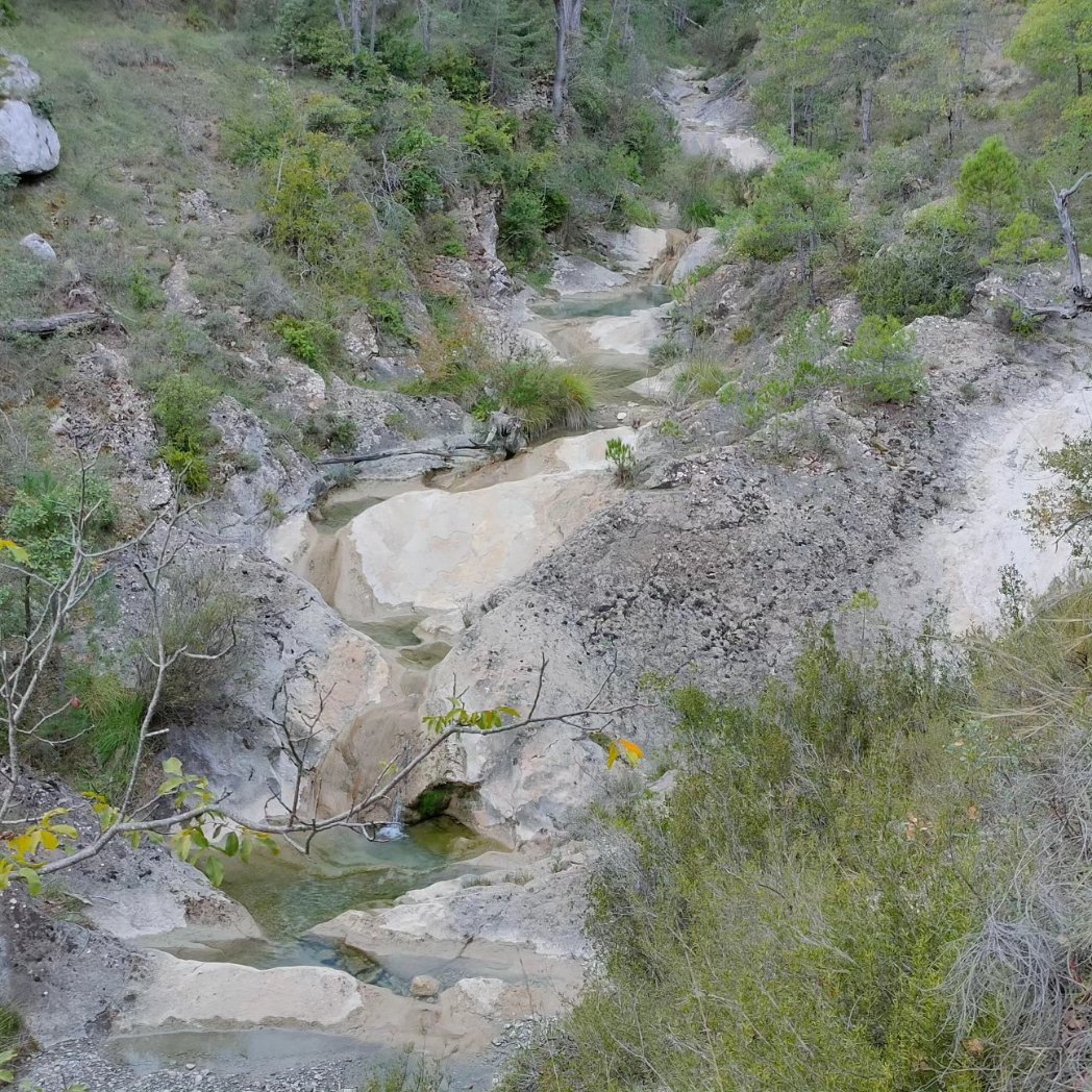CreantUnOasis's tweet photo. 💚 Descobrint els voltants de l'Oasis
💜 Descubriendo los alrededores
.
#Riu #Basses #Runes #Bosc
#Rio #Pozas #Ruinas #Bosque https://t.co/EZIPIZKbuX