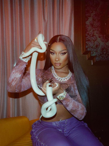 DailyLoud's tweet photo. Megan Thee stallion shares a picture with a snake 🐍 https://t.co/ZP3SJVSjbW