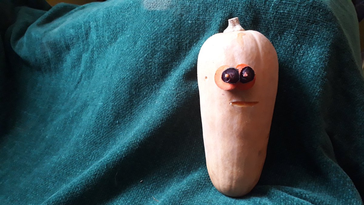 madamezucchini's tweet photo. Vegetable of the day: a pensive butternut 🍠🥒🥔
#funwithvegetables #butternuts https://t.co/tHt6llz8xf