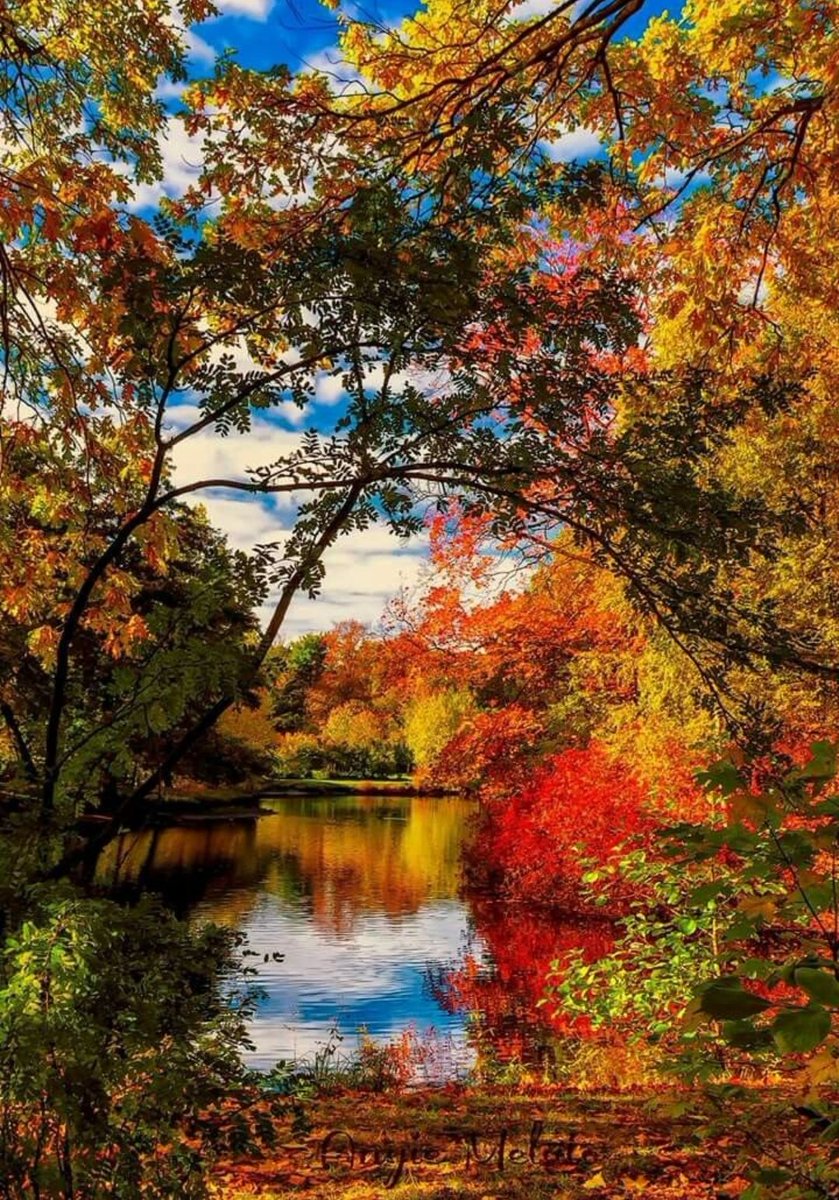 Sky15022010's tweet photo. Peaceful and relaxing Sunday 🍁 https://t.co/6Dn9asHbmc