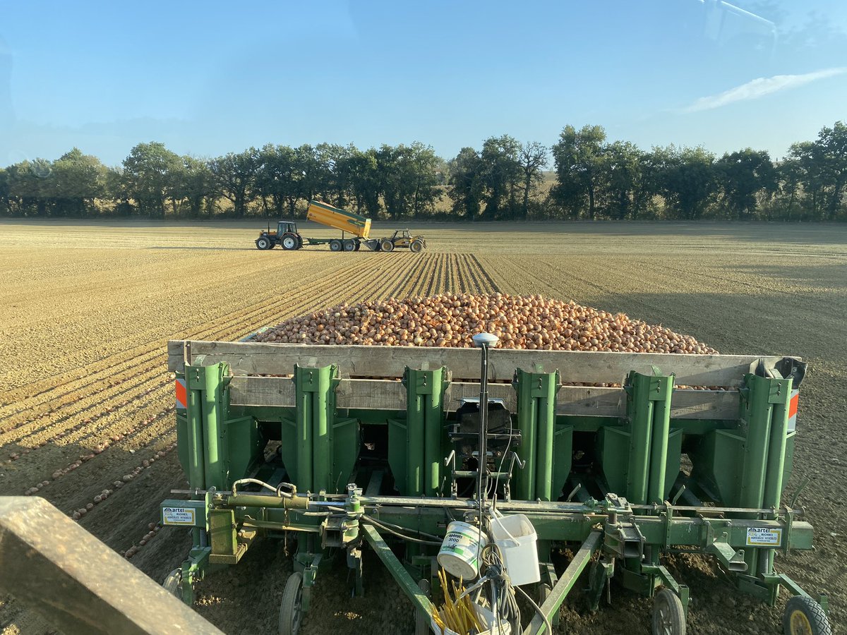 damF032's tweet image. C’est repartie pour un tour! 🧅 semence. @Limagrain @semaeSudOuest @semae_officiel @LaFNAMS @CLAASFrance @Trimble_MEP_Fr @CaterpillarInc