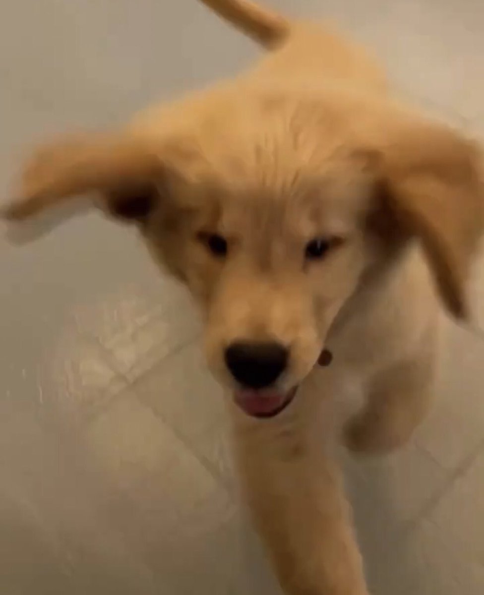 ถ้าหากว่าชีวิตนี้ น้ำส้วมเป็นเส้นชัย จะยอมวิ่งให้ตีนแตก