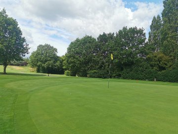 [ Album ]
"Golf is not a great sport. "Golf clubs, Give me fresh air and a beautiful partner, do you believe😇?