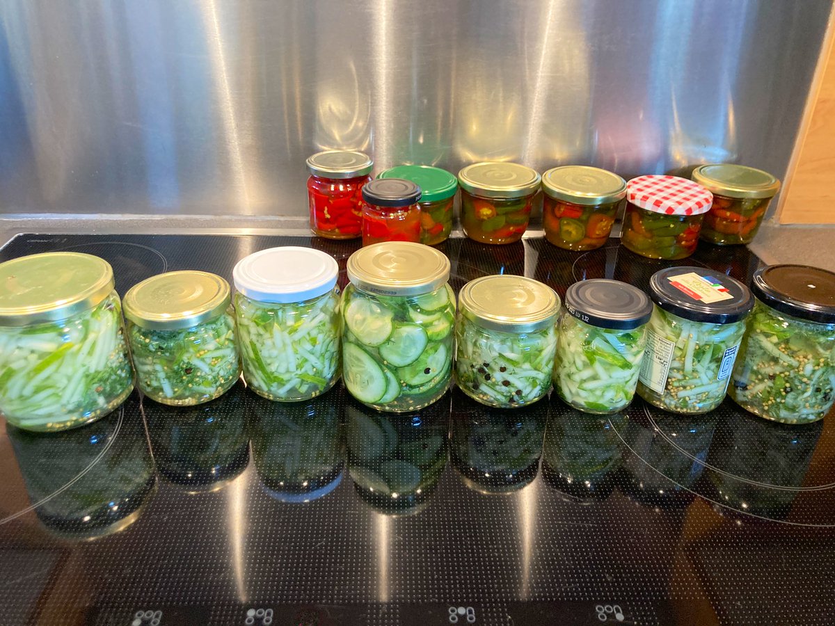 Hoffentlich 😅 die letzten #Einlegegurken eingemacht dieses Jahr als Burgergurken (Stifte und einmal Scheiben). Die Gurken liefern immer noch gut Gurken. Es waren ca. 1,5 Kilo und ich hatte schon viele verschenkt. Das war ein gutes Jahr für #Gurken. Aber nun reicht es. #garten