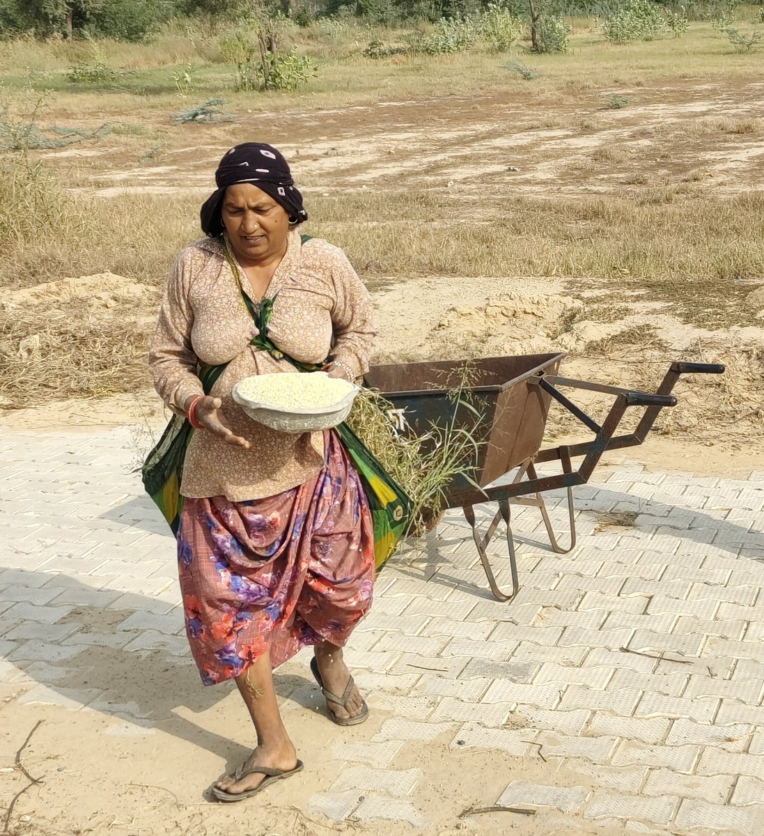 HabitatHealer's tweet photo. हरित प्रणाम, आज अंतर्राष्ट्रीय ग्रामीण महिला दिवस पर मध्यप्रदेश के आदिवासी इलाक़े व भादरा के राष्ट्रीय पक्षी मोर संरक्षित क्षेत्र में पारिवारिक वानिकी गतिविधियों का आयोजन साथी श्रीमान पवन जी शर्मा व प्रिय विद्यार्थी सुनील घिंटाला के संयोजन में ।
#पारिवारिक_व��निकी #पर्यावरण_पाठशाला
#RuralWomen