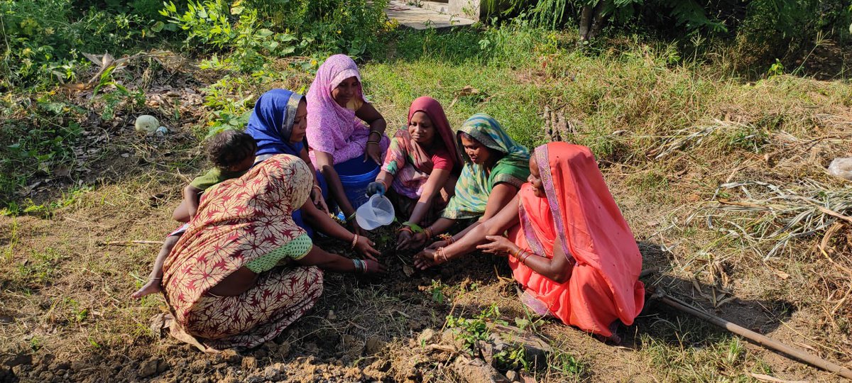 हरित प्रणाम, आज अंतर्राष्ट्रीय ग्रामीण महिला दिवस पर मध्यप्रदेश के आदिवासी इलाक़े व भादरा के राष्ट्रीय पक्षी मोर संरक्षित क्षेत्र में पारिवारिक वानिकी गतिविधियों का आयोजन साथी श्रीमान पवन जी शर्मा व प्रिय विद्यार्थी सुनील घिंटाला के संयोजन में ।
#पारिवारिक_वानिकी