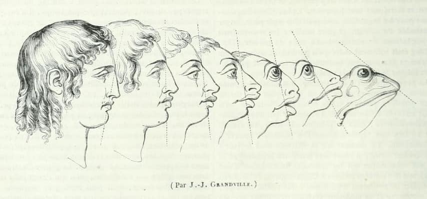 JJ Grandville in Portraits Compared, from Le Magasin pittoresque, August 1844.