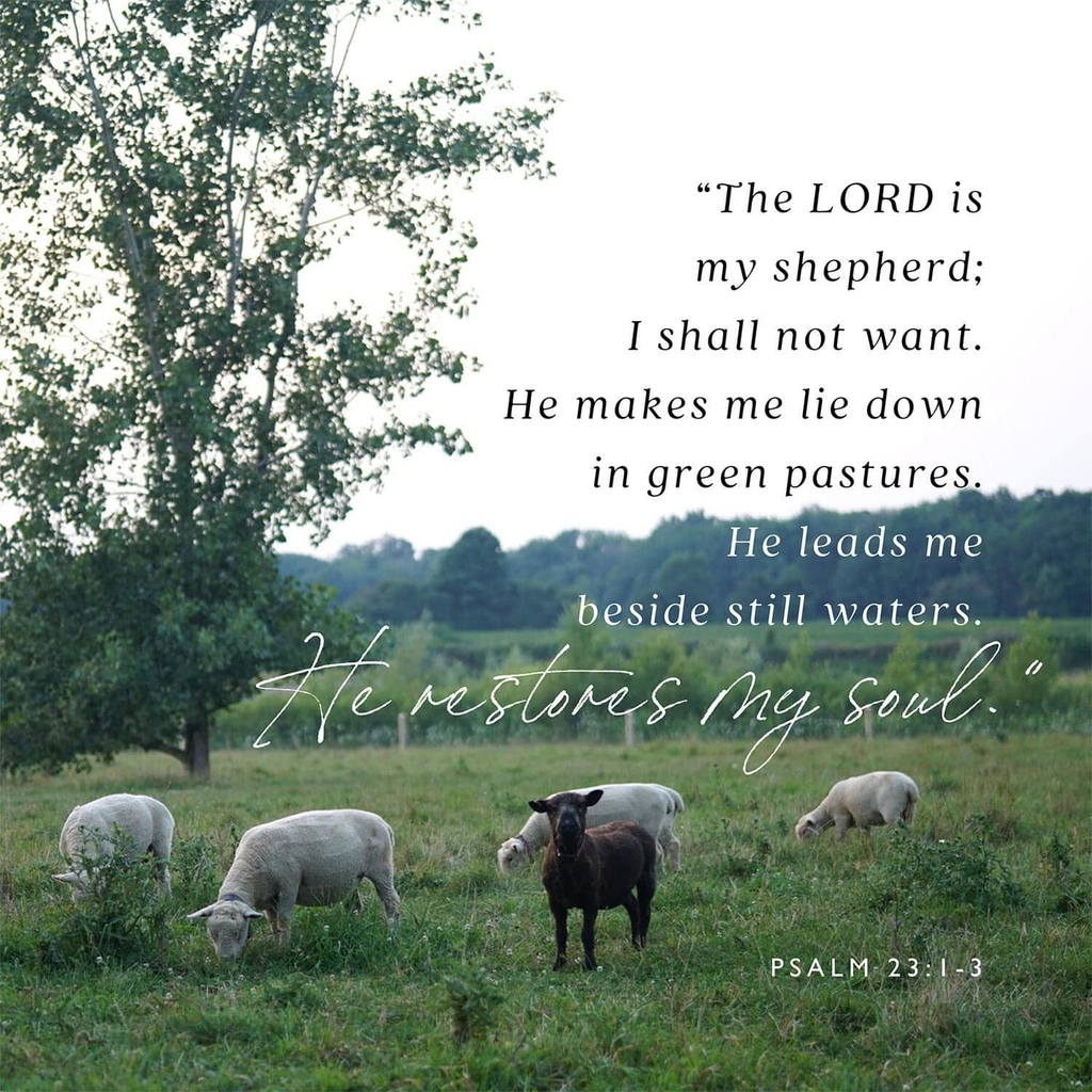 ICEontario's tweet photo. The Lord is my shepherd, I shall not want. He makes me lie down in green pastures; he leads me beside still waters; he restores my soul. 
Psalm 23 https://t.co/IfNzr1yFen