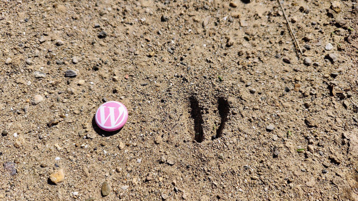 Si tu també veus petjades així quan surts de casa, aquesta és la teva Meetup!

#WordPress #rural