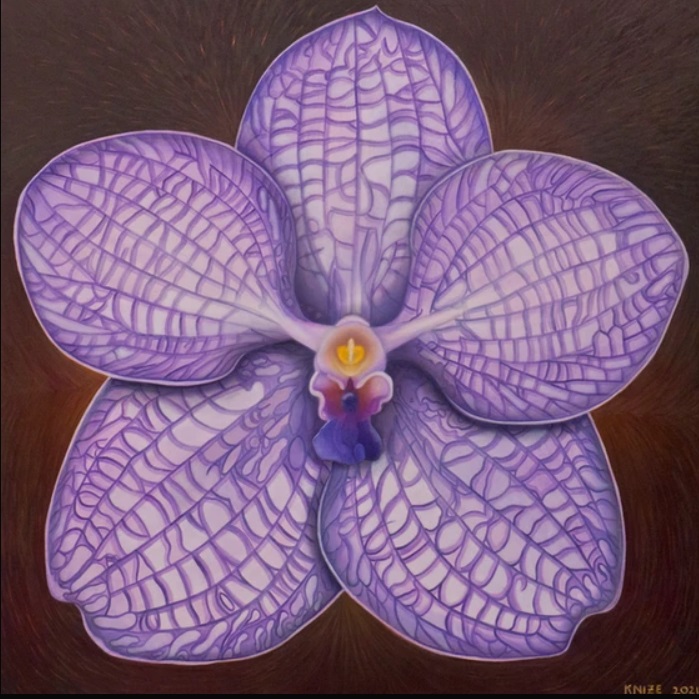 WomensArtForAll's tweet photo. Christine #Knize (@orchidpainterartist) •Vanda Supreme• #WomensArt #ArtByWomen #WomenArtists https://t.co/h6R2nE2g70