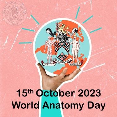 On #WorldAnatomyDay, we recognise the contributions of @baca_anatomy, @Anat_Soc, @anatomyorg, @AnatomyIFAA, <a href="/IASanatomy/">Institute of Anatomical Sciences</a>, <a href="/ECAnatomists/">Early Career Anatomists</a> and other societies in advancing anatomical research worldwide. Together, we unravel the mysteries of anatomy. #Anatomy