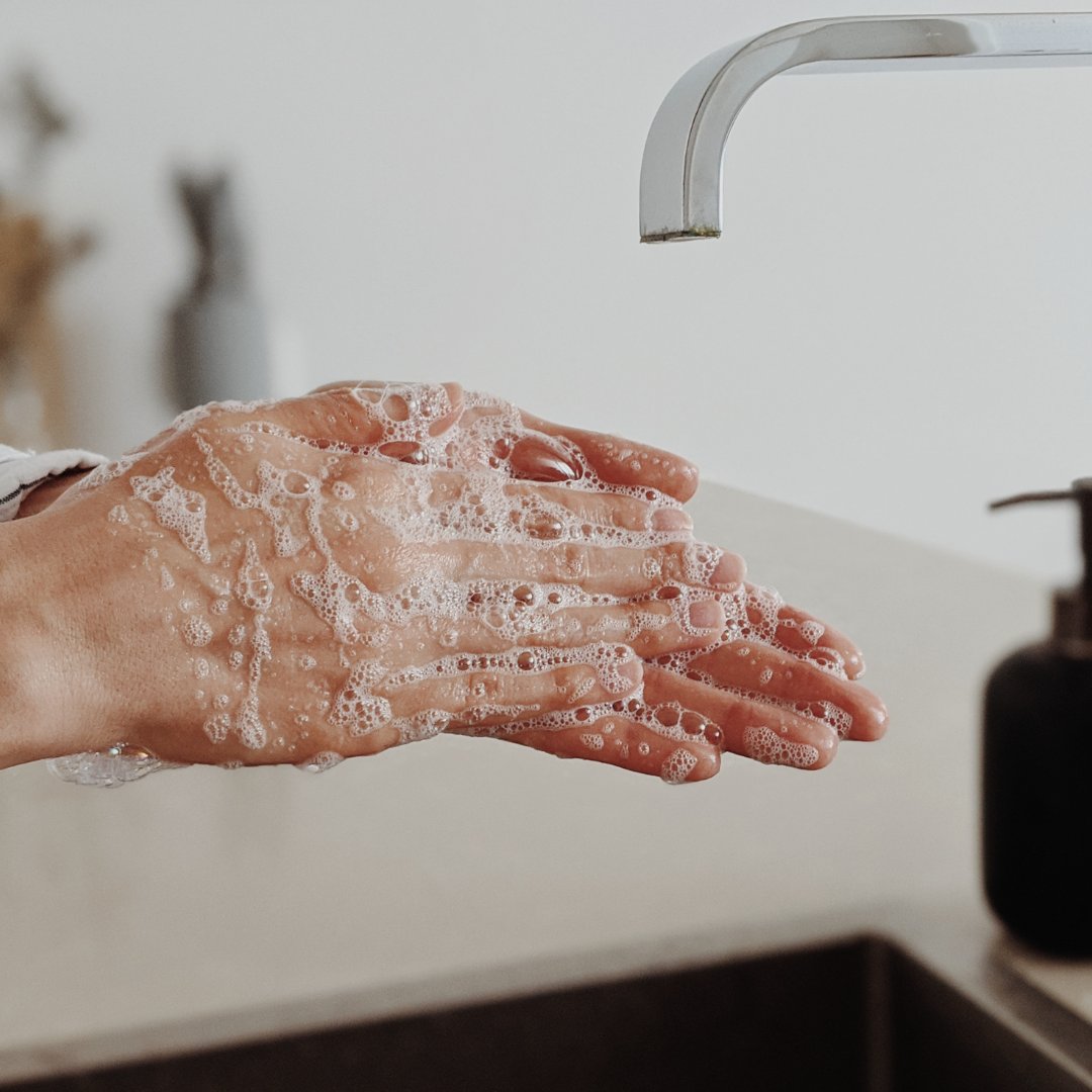 PacoyClara's tweet photo. ¡Hoy celebramos el #DíaMundialDelLavadoDeManos! 🙌🚿

🧼 Lavar nuestras manos regularmente con agua y jabón es una forma sencilla, pero eficaz de eliminar los gérmenes y bacterias que pueden hacernos enfermar. 

¡Mantén tus manos limpias para cuidar de tu salud! 💦👐 https://t.co/kXamIG9Mfc