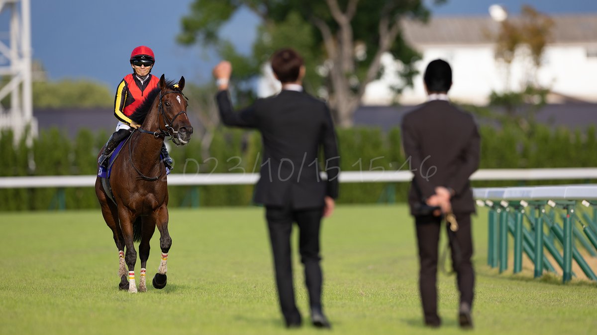 Aki_piko's tweet photo. 辿り着いた未来。

2023/10/15 15:46
Kyoto Racecourse
リバティアイランド（秋華賞） https://t.co/wccpku8aBZ