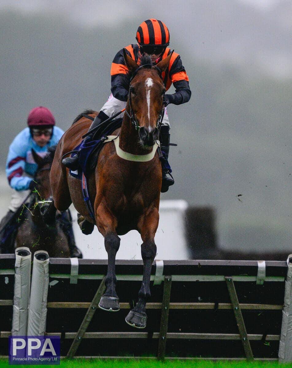 Maximum Racing (@racingmaximum) on Twitter photo 🏇Runner 15/10/2023🏇
Horse: Kym Eyre
Trainer: <a href="/EWilliamsRacing/">Evan Williams</a>
Jockey: Isabel Williams
Time: 13:35 at <a href="/FfosLasRC/">Ffos Las Racecourse</a>
Good luck to connections.
#ownaracehorse #racehorseownership #racehorseowners 🏇Runner 15/10/2023🏇
Horse: Kym Eyre
Trainer: <a href="/EWilliamsRacing/">Evan Williams</a>
Jockey: Isabel Williams
Time: 13:35 at <a href="/FfosLasRC/">Ffos Las Racecourse</a>
Good luck to connections.
#ownaracehorse #racehorseownership #racehorseowners